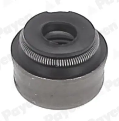 PAYEN 804198 Subap Lastiği Opel Astra G-H-J-Corsa B-C-D-E-Combo C-D-E-Adam-Mokka-Insignia A-Meriva A-B-Vectra B-C Zafira A-C-Tigra 1.0-1.2-1.4-1.6-1.8 Xe-Xel-Xep-Net-Xer-Nel-Neh-Xfl 642500 6U0698101 562073JC 562073CH 6U0615301 53203 24011301821 MDC921 2415019 DF2765