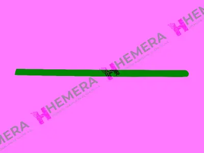 PULO 0986479R92 Çita Kapi Arka (Sağ-Sol) Dacia Logan 2003-2008 6001546709 6001546710 7436 MPP419 DA3201455