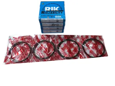 RIKEN 22030000 Segman Std Takımı Z13dt Corsa Astra 2-1,5-2 GM 93196901, GM 630130, GM 630365, GM 93177291, GM 71752645, GM 630379, GM 603363, GM 630381, GM 630363, GM 630385