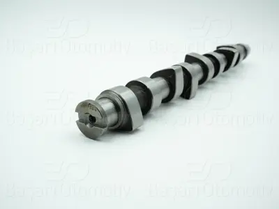 WISCO 038109101K Eksantrik Mili Celik   38109101K 93163200 C300 30919738 19738 215402 CAM671 CP10246 CP60214 CM052216