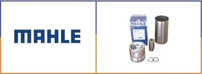 BEHR MAHLE 213PI00102000 Piston Sekmanli Cf85/Xf-95/105 Alm 1814008