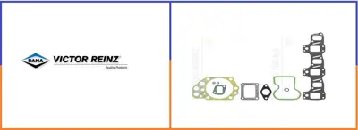 VICTOR REINZ 551570 Üst Takim Conta Dsc-9/94 03-31160-02