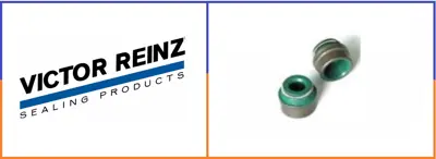 VICTOR REINZ 859171 Sibop Keçesi  Fh/Fm 70-34914-00