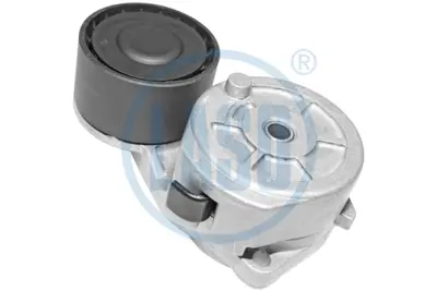 LASO 85207308 Kayiş Gergisi Komple Dc-13 P/G/R/T Serisi 1870552L