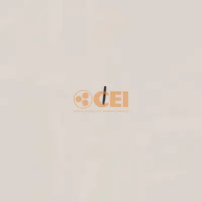 C.E.I. PM FRANCE 156.036 İnce Yay GM 0732040386