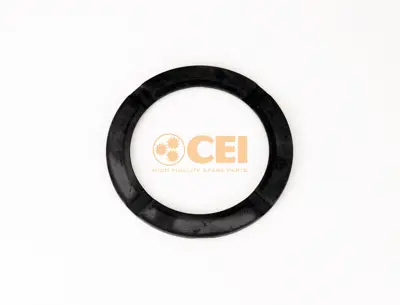 C.E.I. PM FRANCE 169.736 Beyin Akis Pulu Trakker/Eurotrakker/Astra 320 GM 42102347C