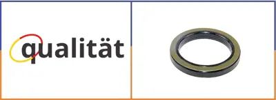 QUALITAT Q-009890 Arka Teker Diş Keçesi 75*100*10/13 3-4/P/R Serisi