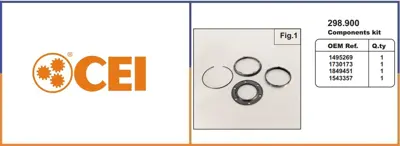 C.E.I. PM FRANCE 298.900 3.Vites Senkromenç Kiti Grs-895/905 GM 298900C