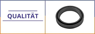 QUALITAT Q-00980 Pto Piston Keçesi Fh/Fm