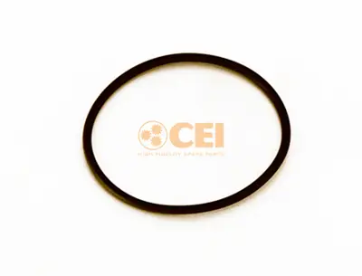 C.E.I. 139.596 O-Ring 63x3 0079974248