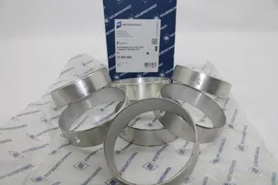 KOLBENSCHMIDT 37 004 600 Eksantirik Yatak Std Mx 1365744