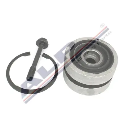 ALP 030801705300 Süspansiyol Kol Tamir Takimi 010.584