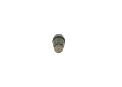 Bosch 1110010025 Basinç Limitör Valfi 