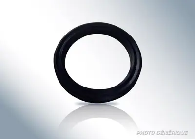 Bosch 1460283312 Şaft Sizdirmazlik Halkasi 3078355R2 9982785 7074443 11676040309001 9956499 9935223 A0059979747 79023584 110732 1460283301