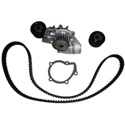 PSA 1609120180 Erp Su Pompasi Triger Kiti E118424 Su Pompasi Dw10td 1609120180 71771596 LVTTP122 614560 K986841C 8647280015 K4PA1054 K62003 KP25524XS KTBWP5340
