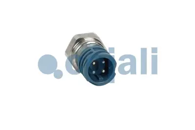 COJALI 2260979 Mazot Basinç Sensörü 