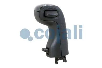 COJALI 2880131 Vites Topuzu 