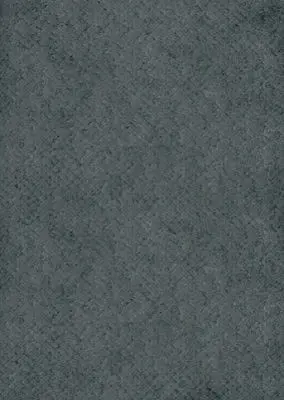 ELRING 003.620 Solid Seal 