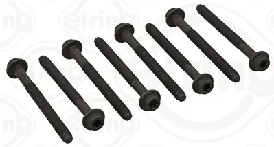 ELRING 450.860 Cylinder Head Bolt Set 1042848