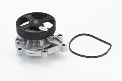 Continental WPS3210 Timing Belt Kit 170BM050 11518512443 TW1162 WP6556 EWP364 FWP2305 P428 16100WA010 10815017 101189