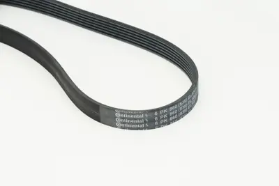 Continental 6PK860ELAST Timing Belt Kit 6PK860EE 3L998037G 65968206000 4L903137B
