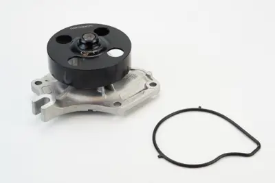 Continental WPS3165 Timing Belt Kit ZJ0115010B PA962 P7532 1831 ZJ0115010C ZJ0115010A WP0178 QCP3637 67018 M470