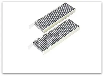 AXAM 04-26-11-3601 Polen Filtresi 208 Ii-2008 Ii-Ds3 18- Corsa F 20- 1.2 1.5hdi Ciftli Karbonlu 9833350880 CUK260252 49457420 9833351080 49457421 172062 AHC7252 ADBP250019 PC85662 ADBP250018