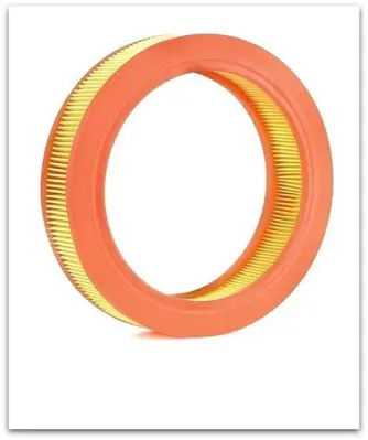 AXAM 02-06-11-3692 Hava Filtresi R9 R11 R19 Broadway Spring EXA1094 7700722657 7700726616 P871A 93523207 9457234790 AR15 AF3420 HF058 R953