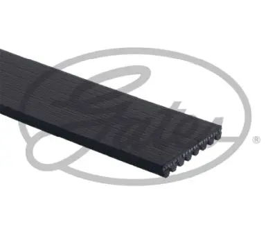 OPTIBELT 8PK1205 Kanalli Kayiş 