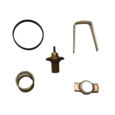 İthal 860010 Termostat Ic 89°c Kangoo-Clıo-Logan 1.5dci 8200039885 352317100850 950136 1769084A00000 41104389D 5350589 1769084A10 700570 1769084A10000 1106100QAG