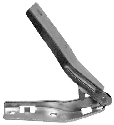 İthal 50201 Kaput Menteşesi Sağ 206 206+t3e 01> 791332 1063988 21281 FCA6000 793830 1046461 JTC184 935202 96006902 50933099