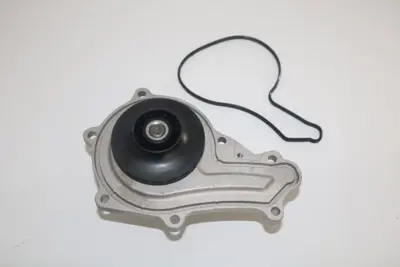 JUST WP3007 Wp307 Devirdaim 206-307 Peugeot 1.4 Hdi 