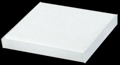 SMF 4041P Polen Filtresi Scenic I 