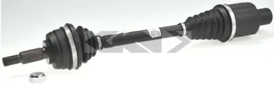 GKN 305932 Aks Komple Sag Duster 4-4 