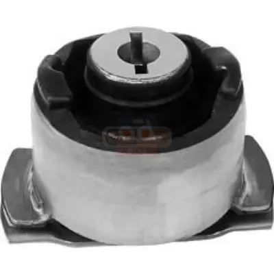 İthal GB1930 Torsiyon Takozu FZ90413 1216367 23317 8200051812 TED48027 7224016 52048903 TD691W TED48370 RS16558