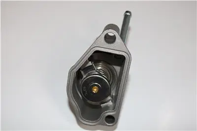 TUNCH TT2017 2002608 Termostat Vectra B X20xev 