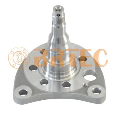İthal 973518L Porya Arka Sol Rulmansiz 6x124.5 98.5cap Abssiz 110mm Genislik 