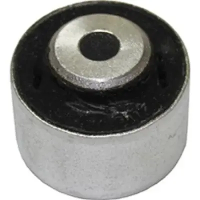 AML 5007189 Salincak Burcu 