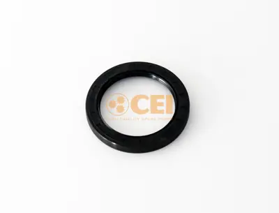 C.E.I. 239.334 Keçe 70x95x10 0734319775