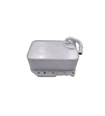 BSG 90-506-029 Yag Sogutucusu 059117015K