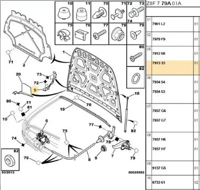 PSA 7913.33 Kaput Menteşesi  7913.33