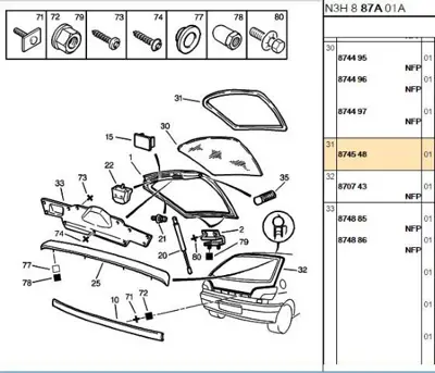 PSA 8745.48 Bagaj Kapak Cam Nikelajı  874548