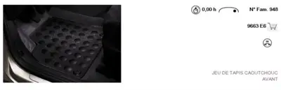 PSA 9663.E6 Ön Kauçuk Paspas 9663.E6