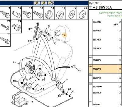 PSA 8978.V1 Kemer Kaldırma Düğmesi 8978V1
