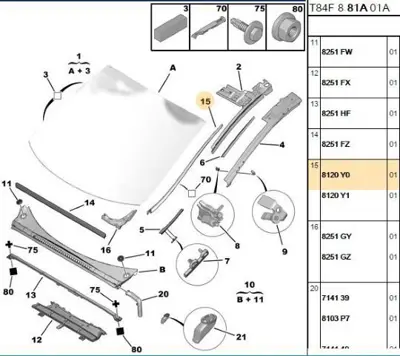 PSA 8120.Y0 Ön Cam Yan Çıtası Sağ 8120.Y0