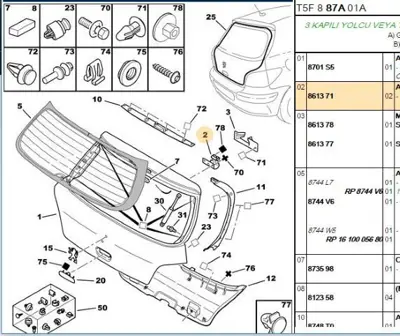 PSA 8613.71 Bagaj Kapak Menteşesi 861371