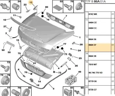 PSA 8664.37 Bagaj Üst Köşe Kapak Sağ  8664.37