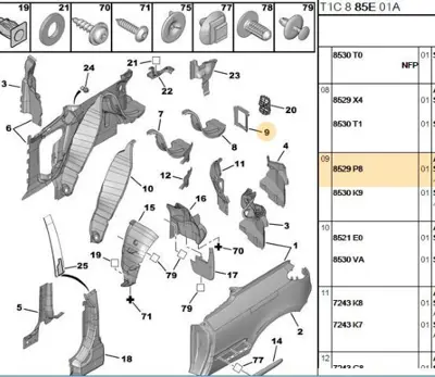 PSA 8529.P8 Davlumbaz 8529P8