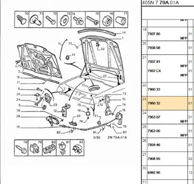 PSA 7950.32 Emniyet Kancası 795032