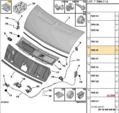 PSA 7928.36 Kaput Tel Agrafı  7928.36